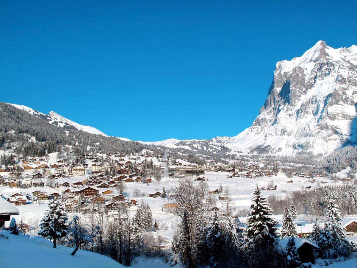 Abendrot Apartments-32 By Interhome Apartmán Grindelwald